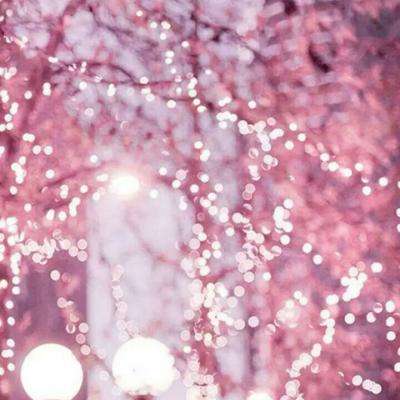 半岛官方登录地址